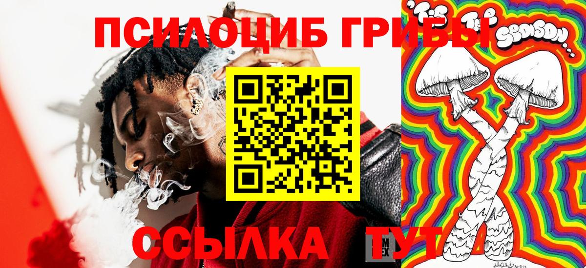 Галлюциногенные грибы Psilocybine cubensis  Вход с VPN  Кирово-Чепецк  Галлюциногенные грибы GOLDEN TEACHER 