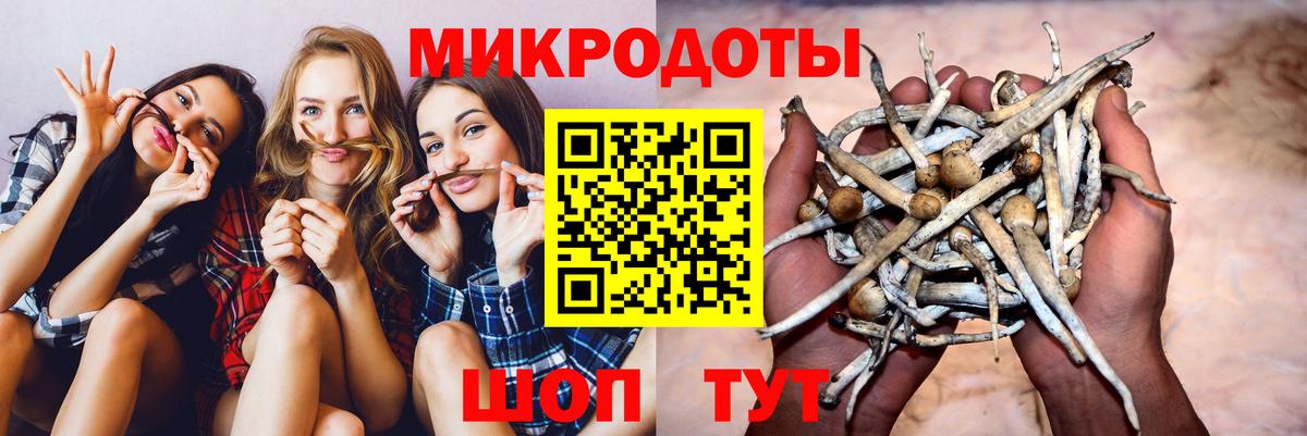 Галлюциногенные грибы Cubensis Кирово-Чепецк